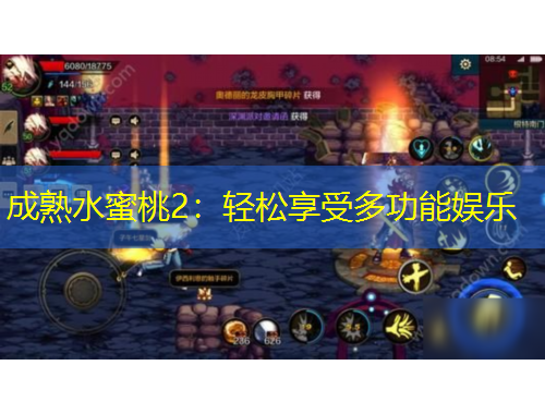 成熟水蜜桃2：輕松享受多功能娛樂