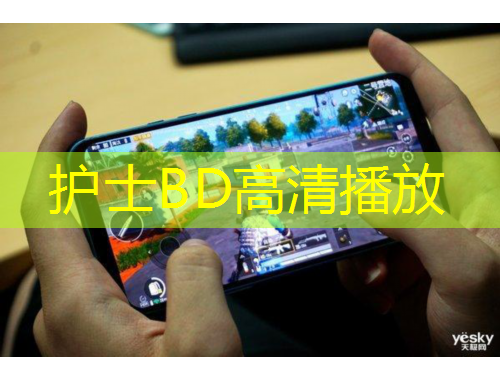 護士BD高清播放