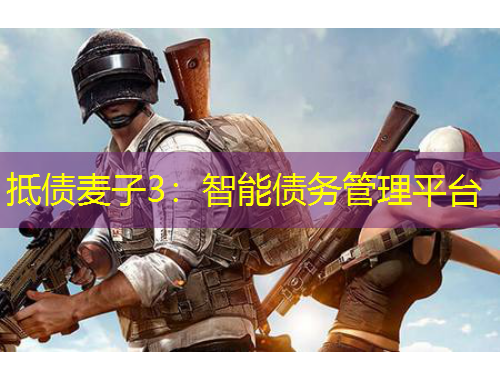 抵債麥子3：智能債務(wù)管理平臺