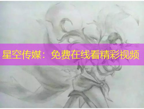 星空傳媒：免費(fèi)在線(xiàn)看精彩視頻