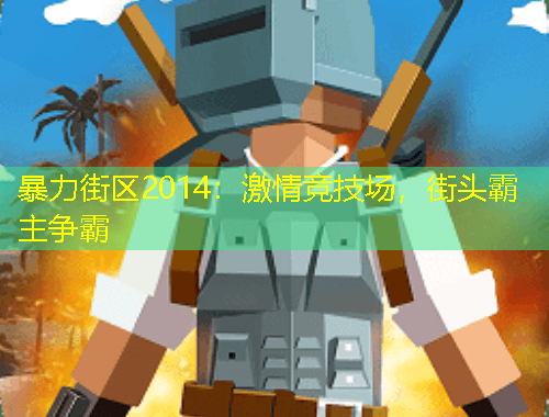 暴力街區(qū)2014：激情競(jìng)技場(chǎng)，街頭霸主爭(zhēng)霸