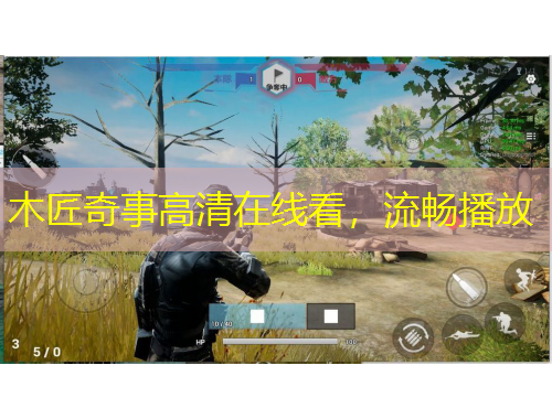 木匠奇事高清在線看，流暢播放