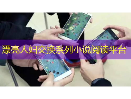 漂亮人婦交換系列小說閱讀平臺