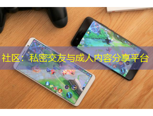 社區(qū)：私密交友與成人內容分享平臺