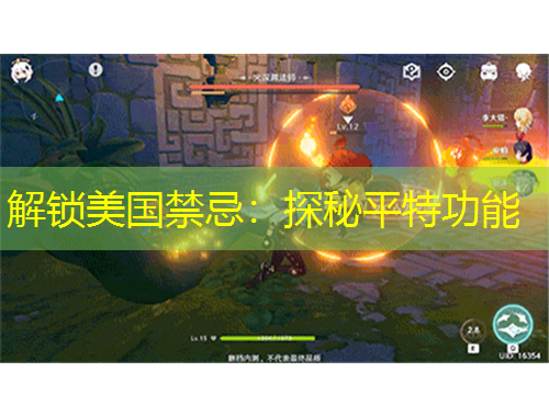 解鎖美國禁忌：探秘平特功能