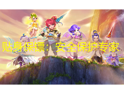 貼身保鏢：安全保護(hù)專家