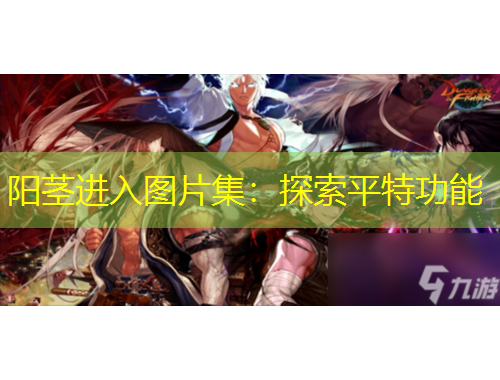 陽莖進入圖片集：探索平特功能