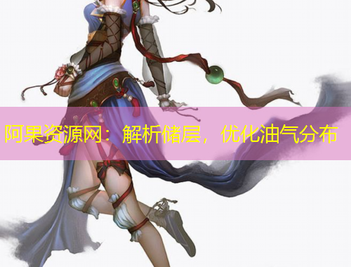 阿果資源網(wǎng)：解析儲層，優(yōu)化油氣分布