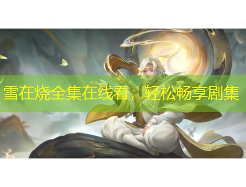 雪在燒全集在線看，輕松暢享劇集