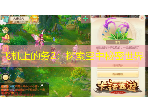 飛機上的務(wù)2：探索空中秘密世界
