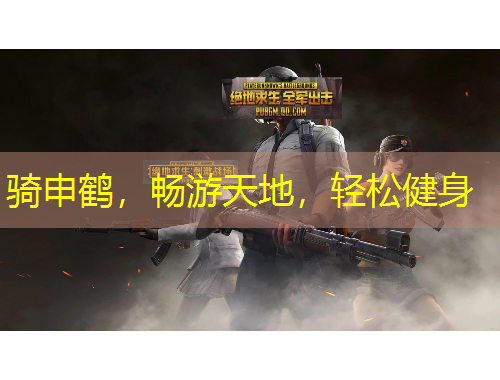 騎申鶴，暢游天地，輕松健身