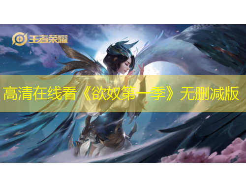 高清在線看《欲奴第一季》無刪減版