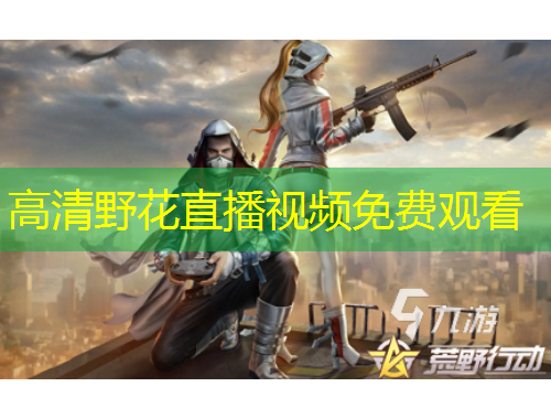 高清野花直播視頻免費觀看