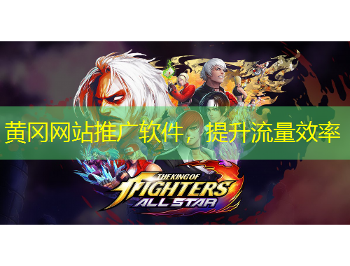 黃岡網站推廣軟件，提升流量效率