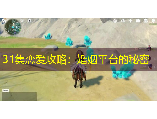 31集戀愛攻略：婚姻平臺的秘密