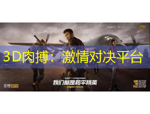3D肉搏：激情對(duì)決平臺(tái)