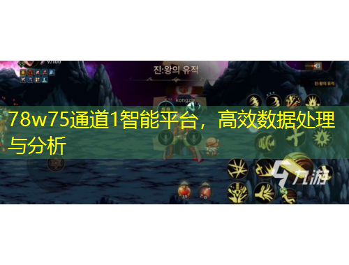 78w75通道1智能平臺，高效數(shù)據(jù)處理與分析