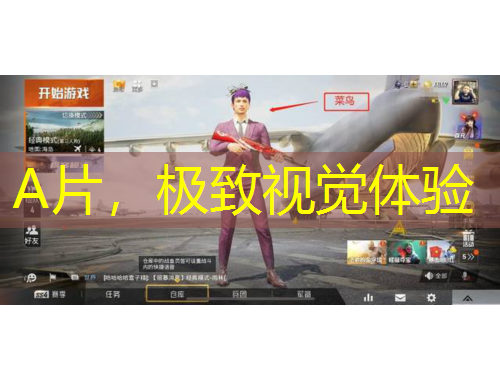 A片，極致視覺體驗