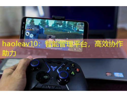 haoleav10：智能管理平臺(tái)，高效協(xié)作助力