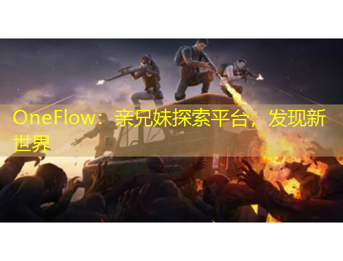 OneFlow：親兄妹探索平臺(tái)，發(fā)現(xiàn)新世界