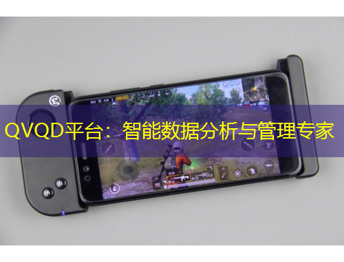 QVQD平臺：智能數(shù)據(jù)分析與管理專家