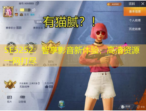 SE5252：智享影音新體驗，高清資源一網(wǎng)打盡