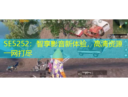SE5252：智享影音新體驗，高清資源一網(wǎng)打盡