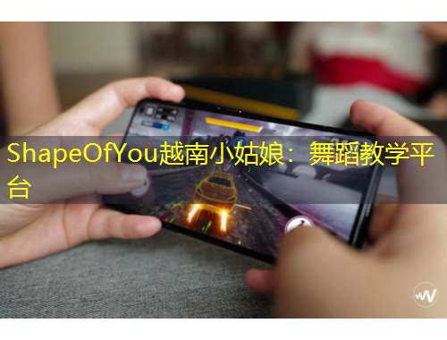 ShapeOfYou越南小姑娘：舞蹈教學平臺