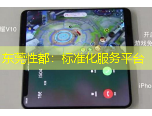 東莞性都：標(biāo)準(zhǔn)化服務(wù)平臺