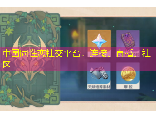 中國同性戀社交平臺：連接、直播、社區(qū)