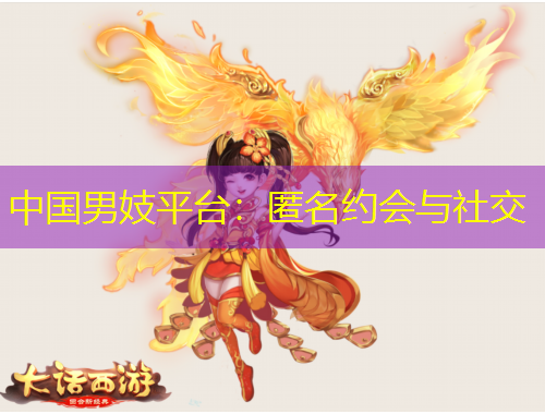 中國男妓平臺：匿名約會與社交