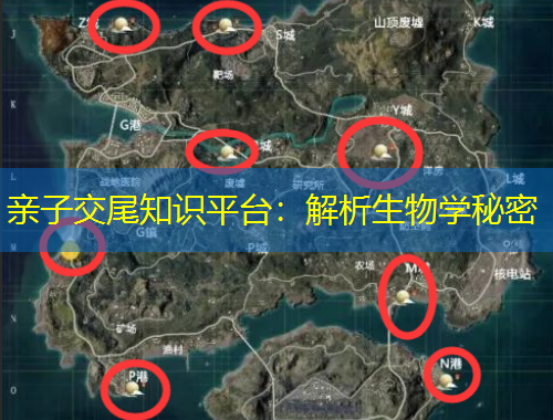 親子交尾知識(shí)平臺(tái)：解析生物學(xué)秘密