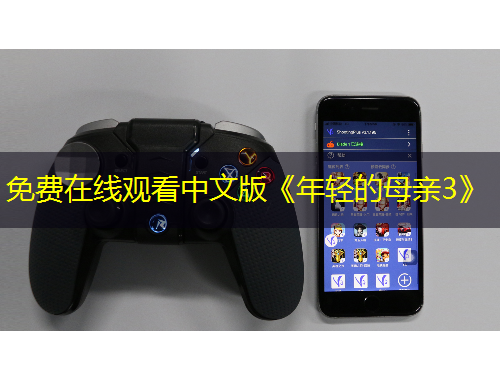 免費在線觀看中文版《年輕的母親3》