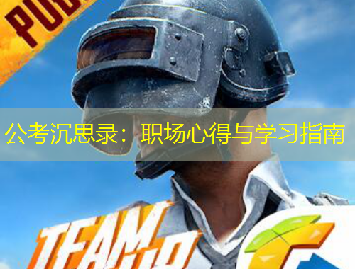 公考沉思錄：職場心得與學習指南