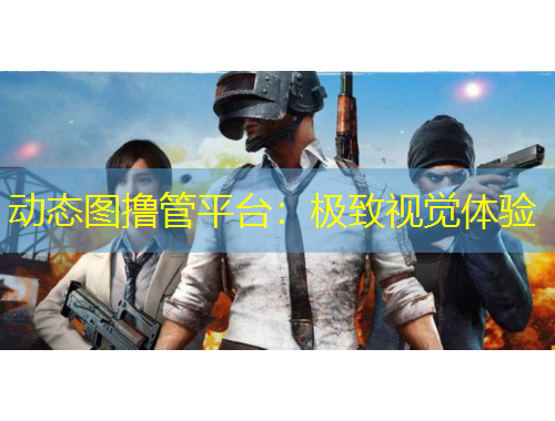 動態(tài)圖擼管平臺：極致視覺體驗