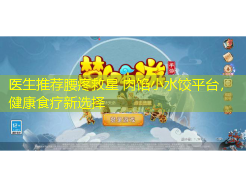 醫(yī)生推薦腰疼救星 肉餡小水餃平臺，健康食療新選擇