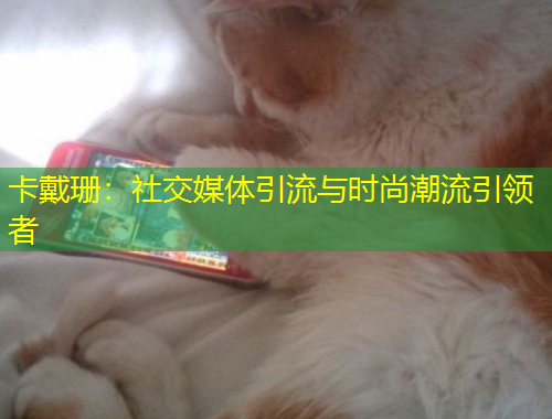 卡戴珊：社交媒體引流與時尚潮流引領者