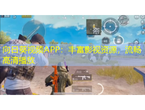 向日葵視頻APP：豐富影視資源，流暢高清播放