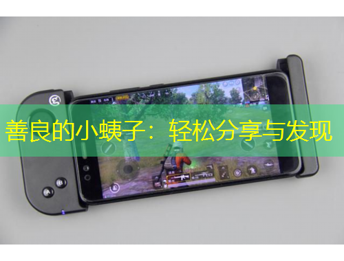 善良的小蛦子：輕松分享與發(fā)現(xiàn)