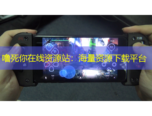 嚕死你在線資源站：海量資源下載平臺