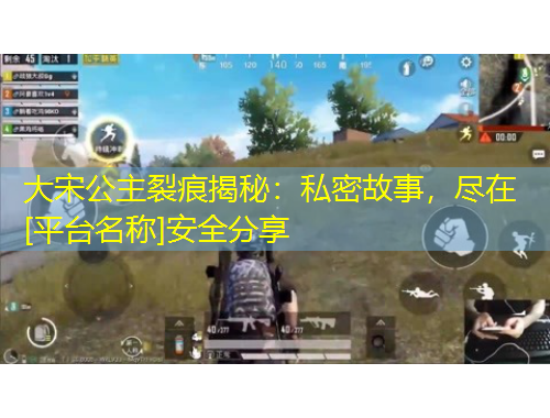 大宋公主裂痕揭秘：私密故事，盡在[平臺(tái)名稱]安全分享