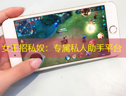 女王招私奴：專屬私人助手平臺(tái)