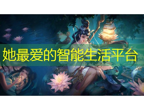 她最愛的智能生活平臺