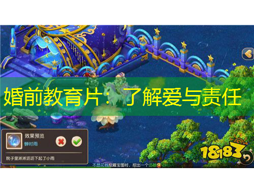 婚前教育片：了解愛(ài)與責(zé)任