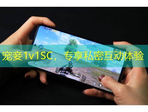 寵妾1v1SC，專享私密互動體驗