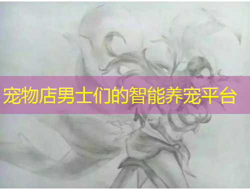 寵物店男士們的智能養(yǎng)寵平臺(tái)