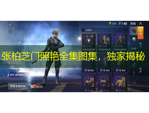 張柏芝門照艷全集圖集，獨家揭秘