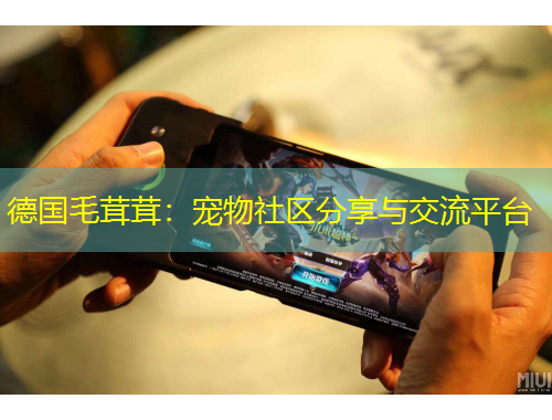 德國毛茸茸：寵物社區(qū)分享與交流平臺