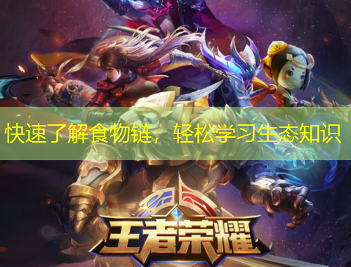 快速了解食物鏈，輕松學(xué)習(xí)生態(tài)知識