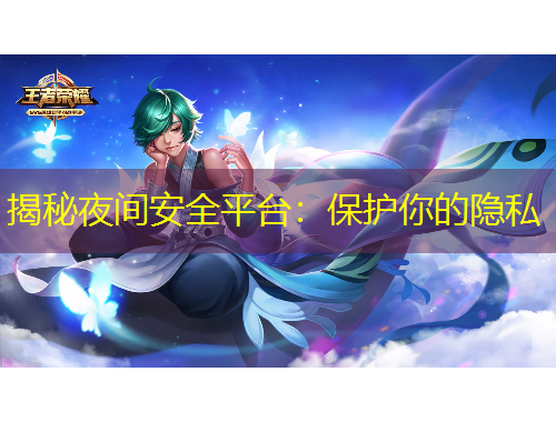 揭秘夜間安全平臺：保護(hù)你的隱私